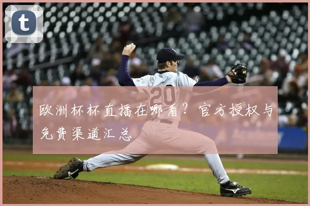 欧洲杯杯直播在哪看?官方授权与免费渠道汇总