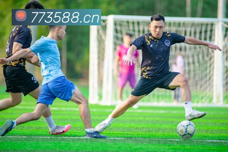 App Interface Preview